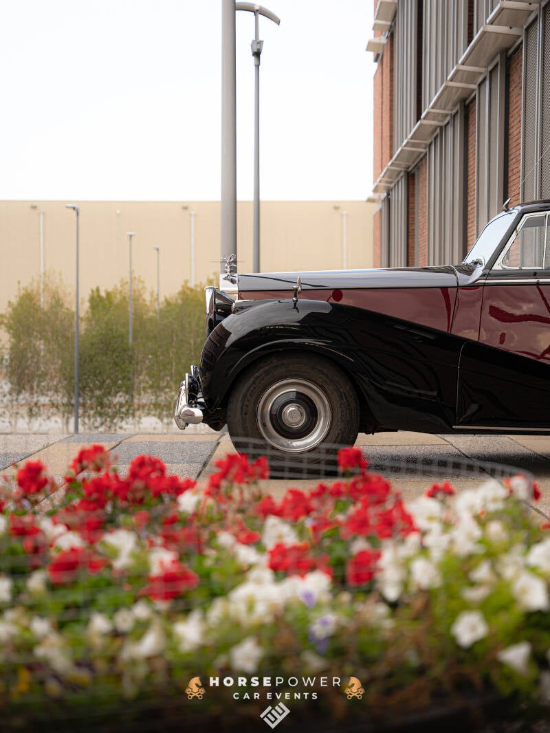 _dsc9205-standard-73h5so.jpg