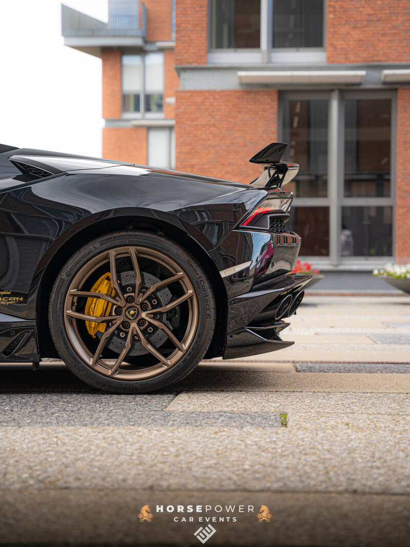 _dsc9214-standard-wws0s3.jpg