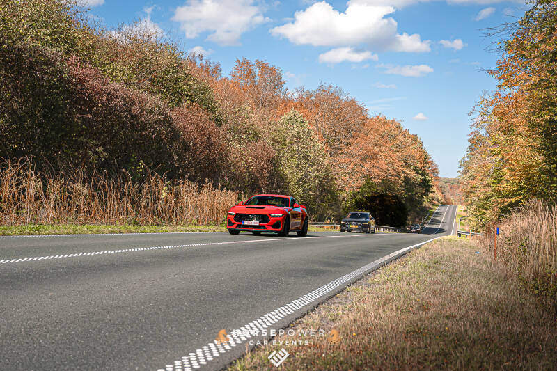 _dsc9240-standard.jpg