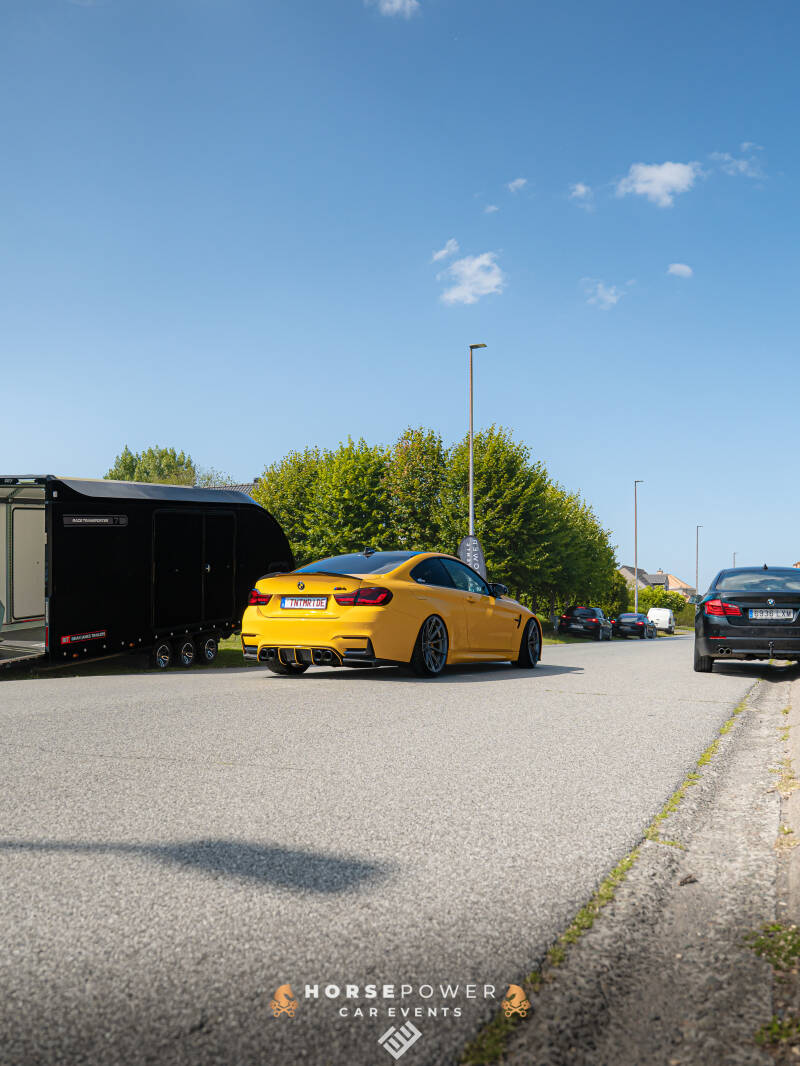 _dsc9966-standard-mgdcvx.jpg