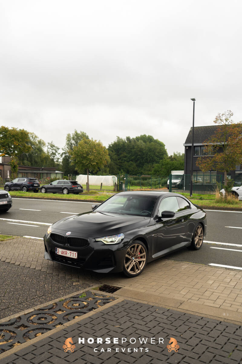 dsc06442-standard.jpg