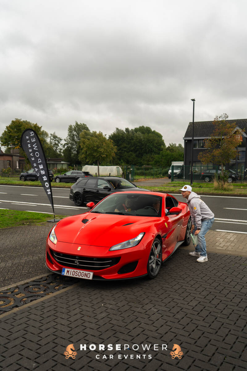 dsc06512-standard.jpg