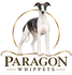 Paragon Whippets and Professional Handling