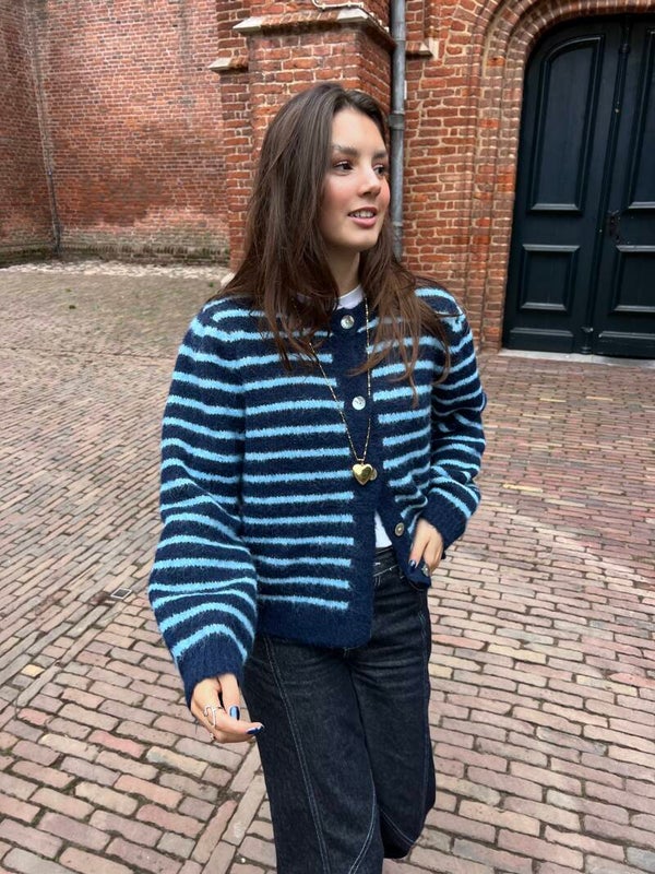 Isabella gebreid vest - navy/blauw