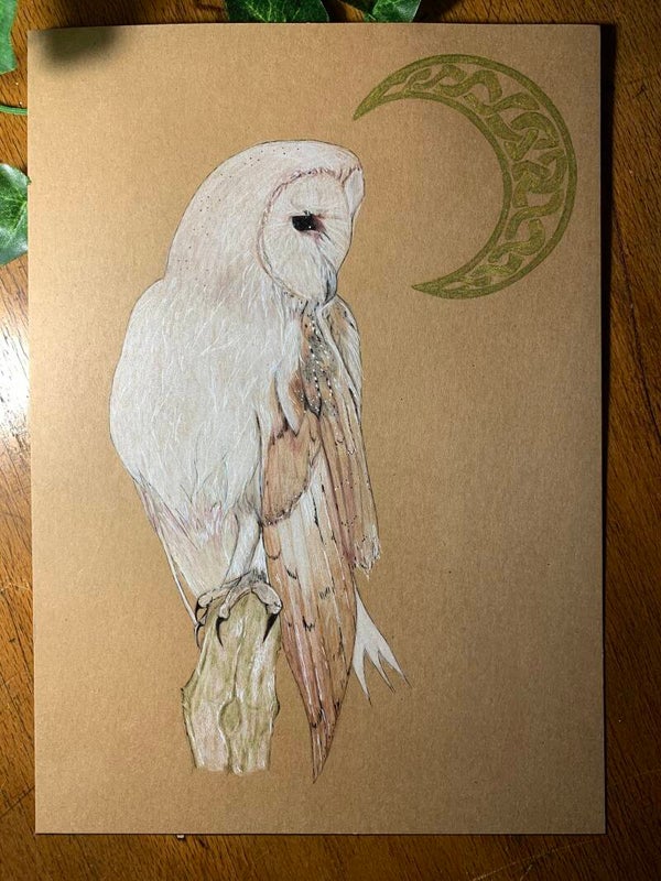 Illustration * chouette