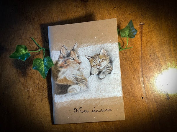 Carnet de dessin * chats
