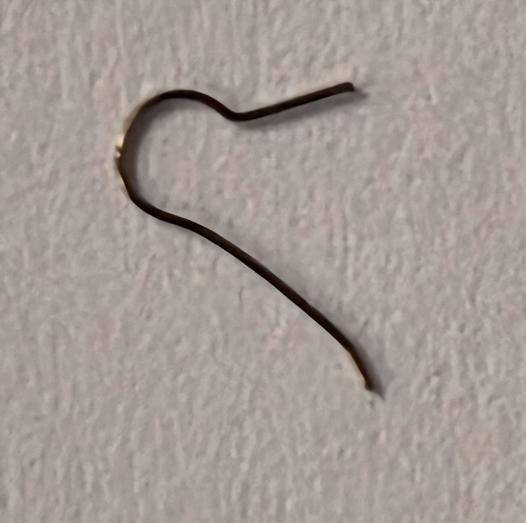 2575 Date jumper spring: Durowe 7422-2, Durowe 7423-2, Durowe 7424-2, Durowe 7425-2, Durowe  7426, Durowe 7427, Durowe 7428, Durowe  7439, Durowe 7522-2, Durowe 7523-2,  Durowe 7525-2, Durowe 7526,