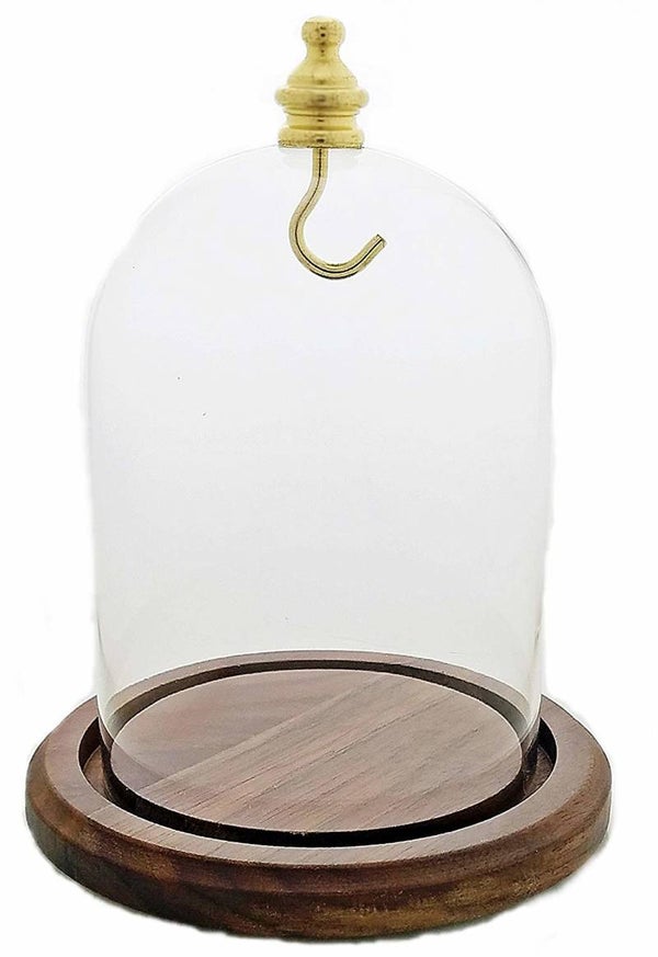 Pocket Watch Dome Glass with Wooden Base