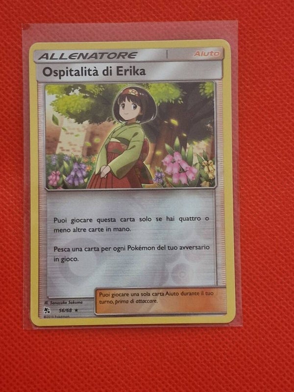 Ospitalità di erika