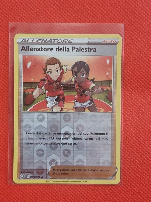 Allenatore della palestra