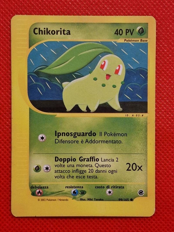 Chikorita