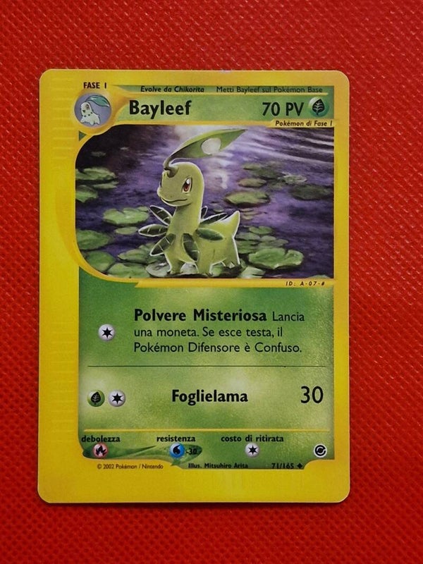 Bayleef