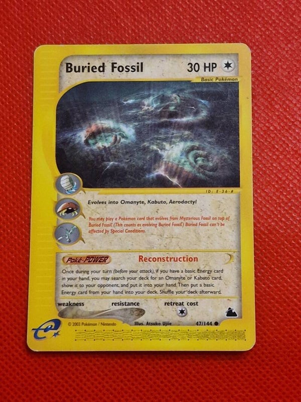 Buried fossil