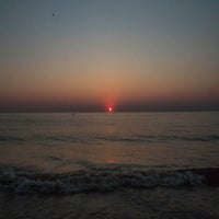 IMG_8328.jpg