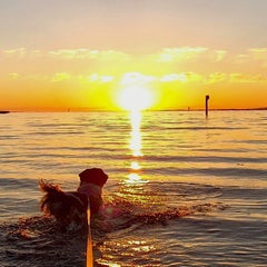 20220610_210346.jpg