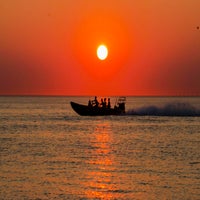 IMG_8295-2-1.jpg