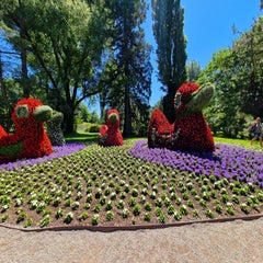 20220614_122817.jpg