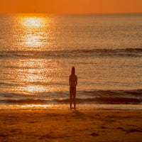 IMG_8222.jpg