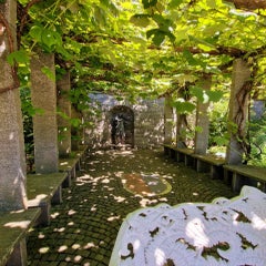 20220614_125001.jpg