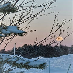 20220117_111355-1.jpg