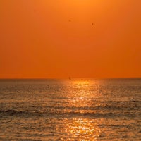 IMG_8254.jpg