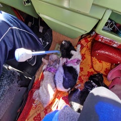 20220610_111829.jpg
