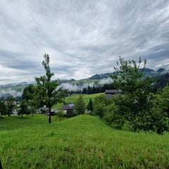 20220613_101923.jpg