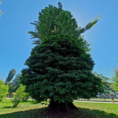 20220614_122923.jpg