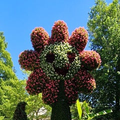 20220614_121925.jpg