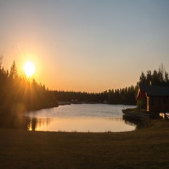 IMG_4400.jpg