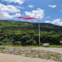 20220615_142132.jpg