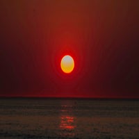 IMG_8319.jpg