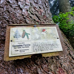 20220613_114516.jpg