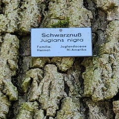 20220614_130131.jpg
