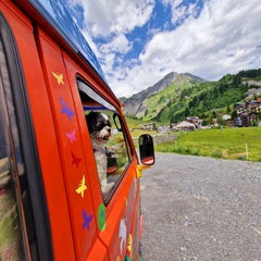 20220615_141326.jpg