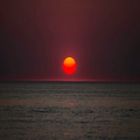 IMG_8337.jpg