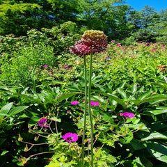 20220614_124254.jpg