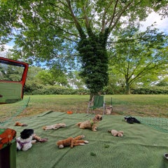 20220609_183952.jpg