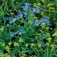 20220613_182112.jpg