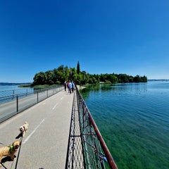 20220614_121252.jpg
