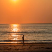 IMG_8223.jpg