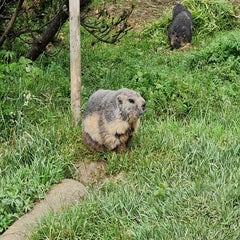 20220613_115906.jpg
