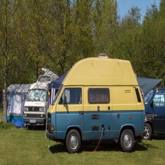 IMG_4246.jpg