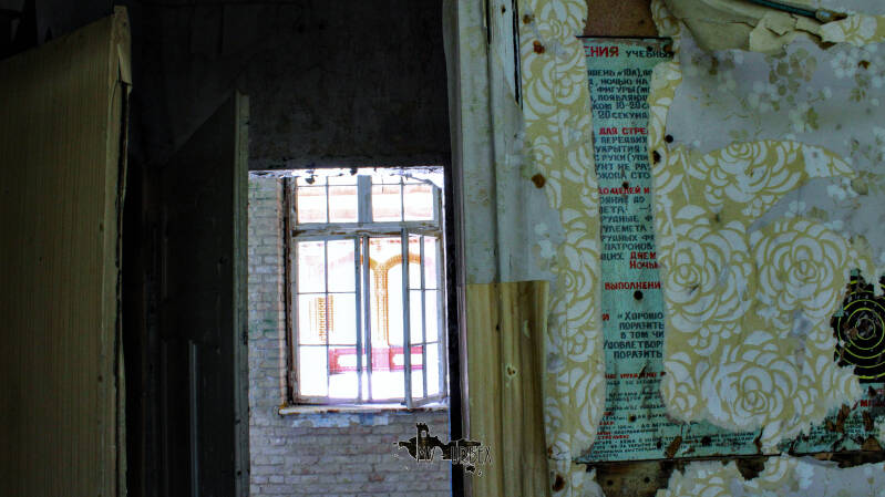 img_0584-standard.jpg