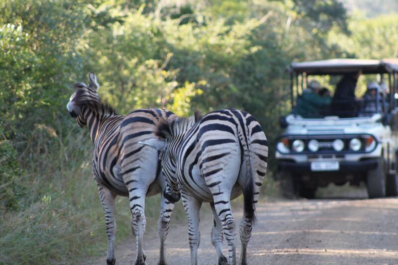 Rovos Rail safari 