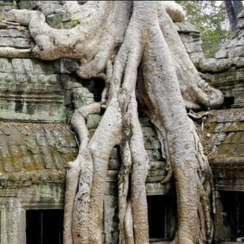 Reisfoto Thailand / Cambodja