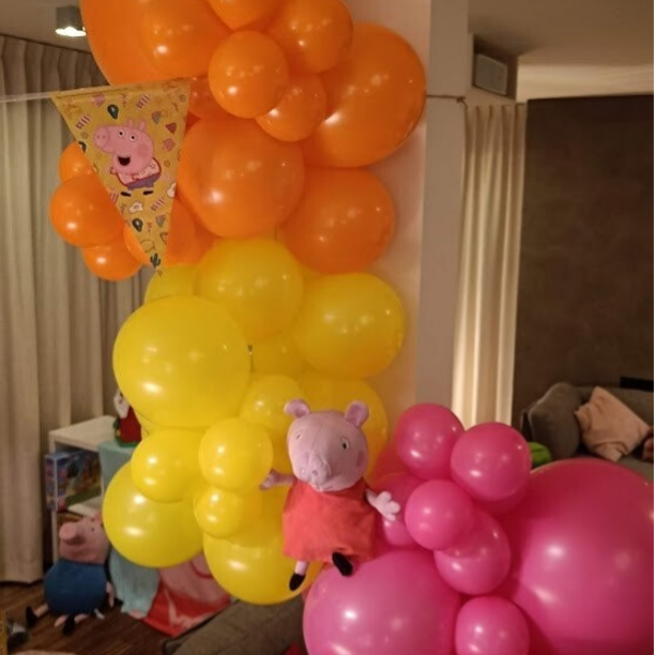 Muur- of raamslinger