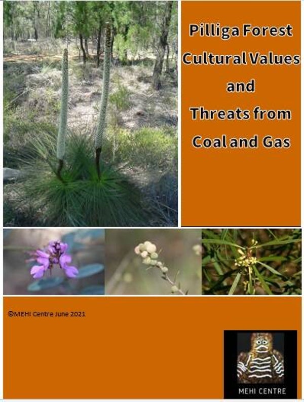 Pilliga Forest Cultural Values and Threats from Coal and Gas