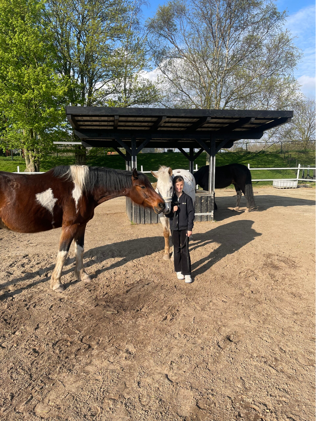 Anne Veerman – Pedagoog & therapeut