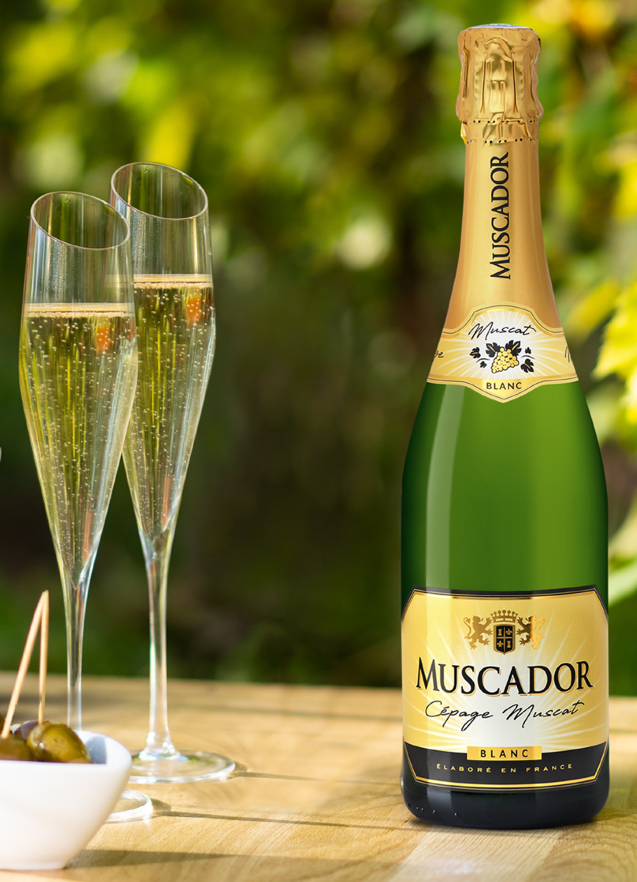 Muscador Blanc Schaumwein 6 x 0,75 L 11,5% vol.